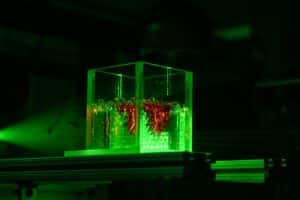 A green laser illuminates a bead pack as a dense laser-fluorescent solute moves downwards through the granular media.